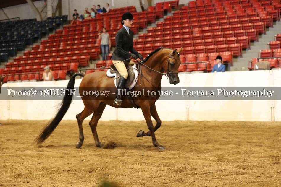 Proof 18BUCK_00927