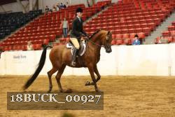 18BUCK_00927 proof