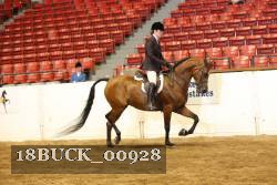 18BUCK_00928 proof