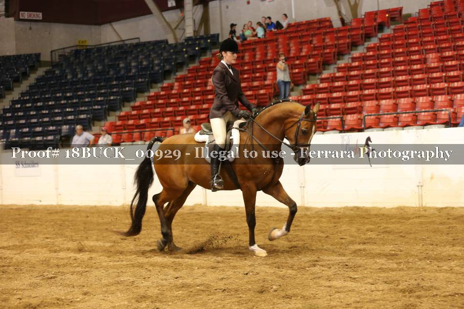 Proof 18BUCK_00929