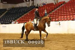 18BUCK_00929 proof
