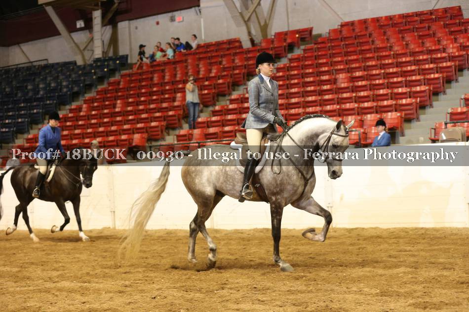 Proof 18BUCK_00930