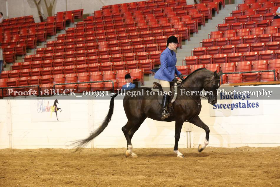 Proof 18BUCK_00931