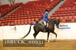 18BUCK_00931 proof
