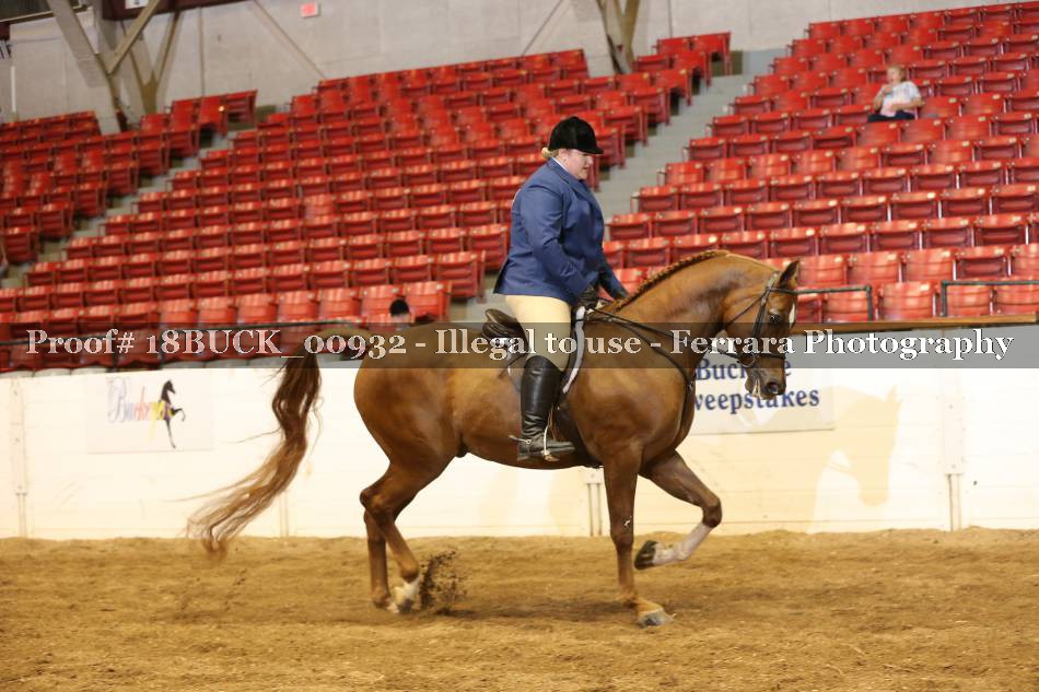 Proof 18BUCK_00932
