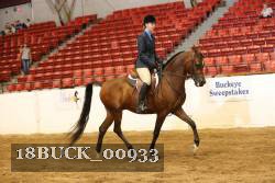 18BUCK_00933 proof