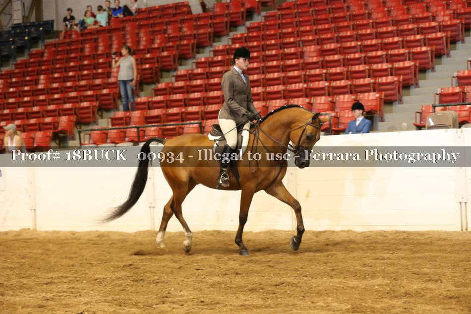 Proof 18BUCK_00934