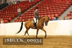 18BUCK_00934 proof