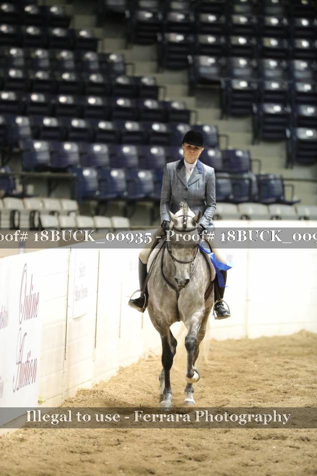 Proof 18BUCK_00935