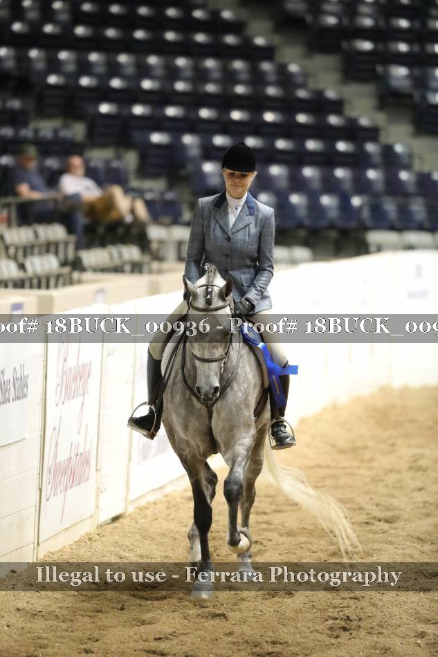 Proof 18BUCK_00936