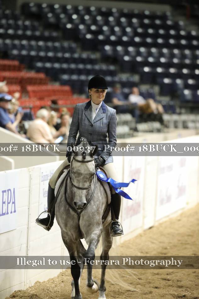 Proof 18BUCK_00937