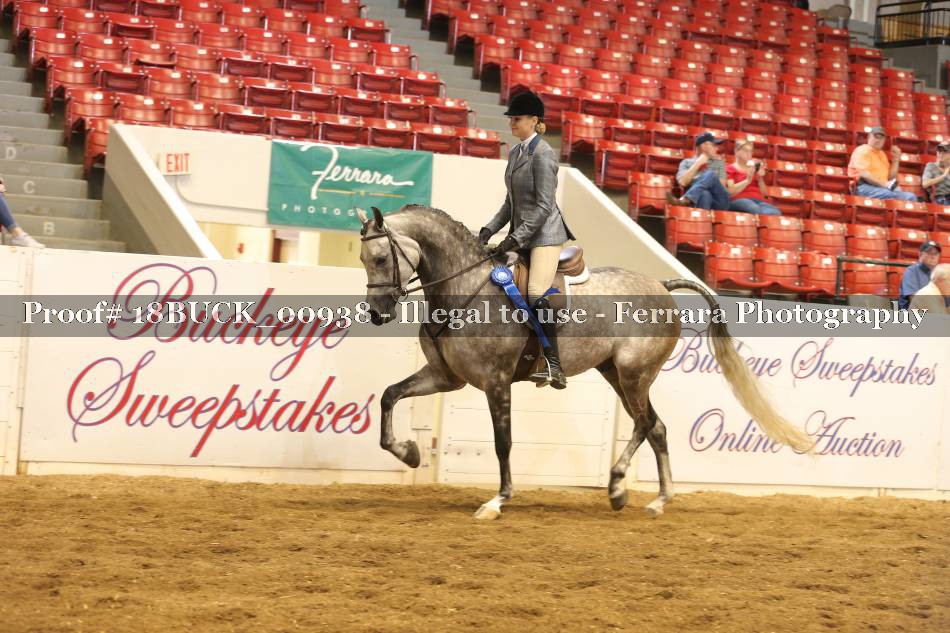 Proof 18BUCK_00938