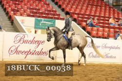 18BUCK_00938 proof