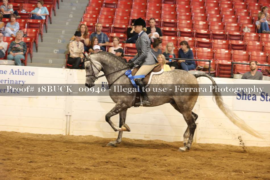Proof 18BUCK_00940
