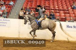 18BUCK_00940 proof