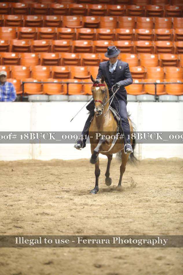 Proof 18BUCK_00941