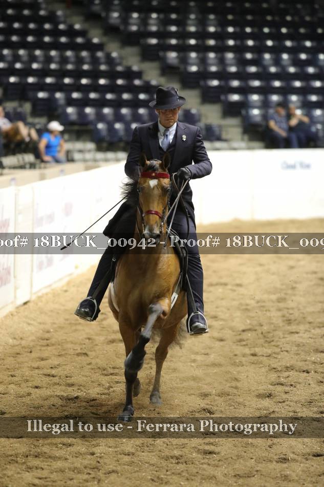 Proof 18BUCK_00942