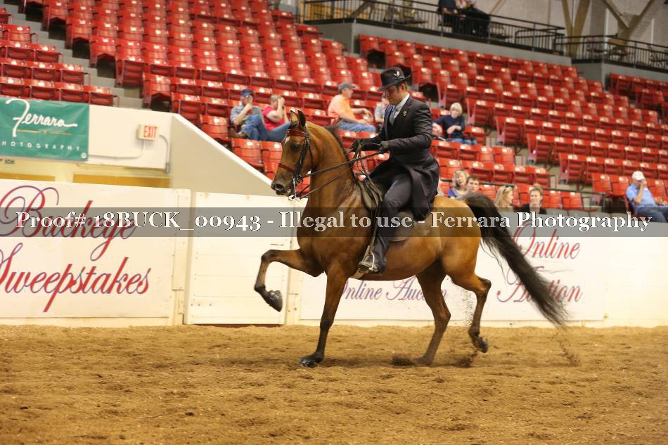 Proof 18BUCK_00943