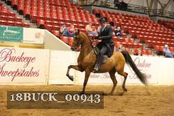 18BUCK_00943 proof