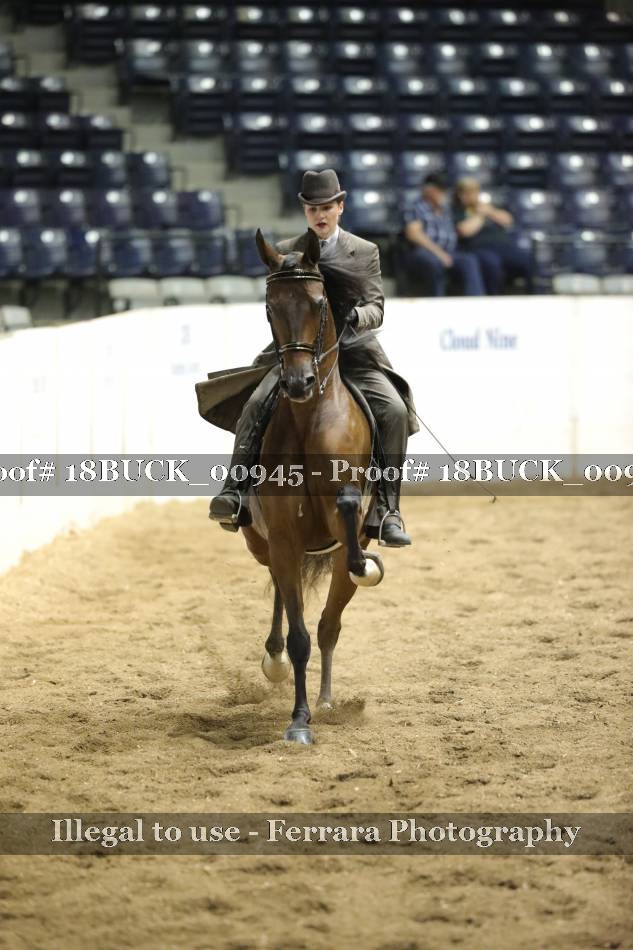 Proof 18BUCK_00945