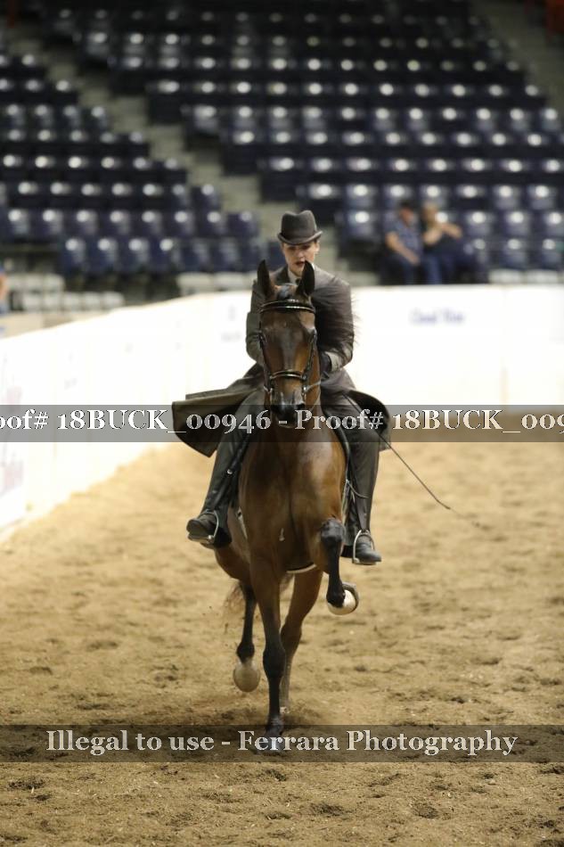 Proof 18BUCK_00946