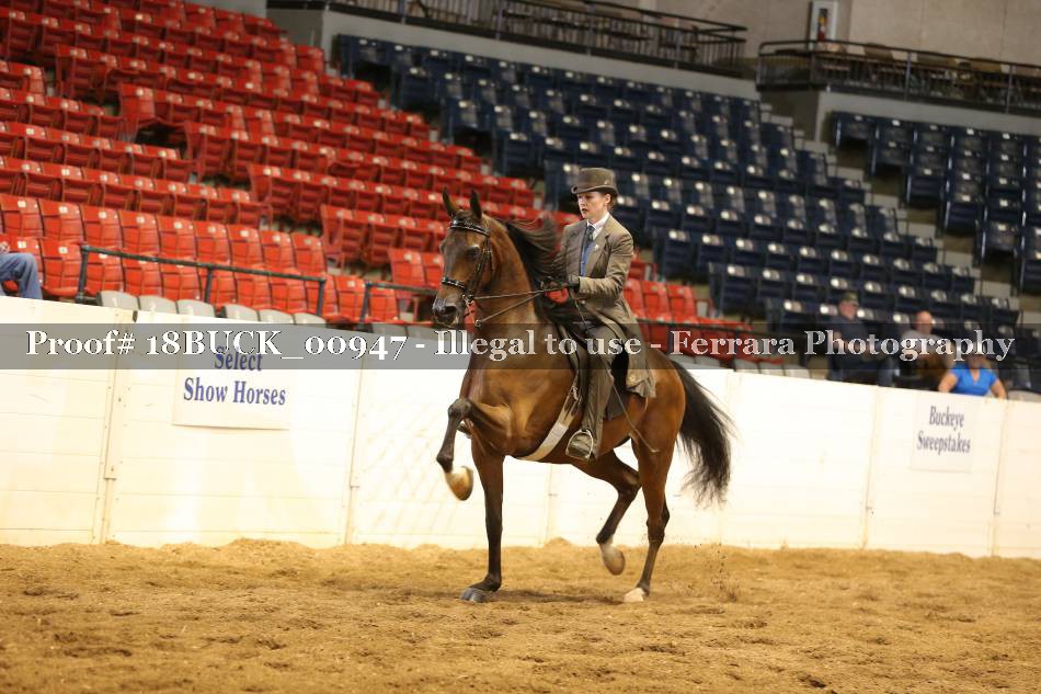 Proof 18BUCK_00947
