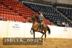 18BUCK_00947 proof
