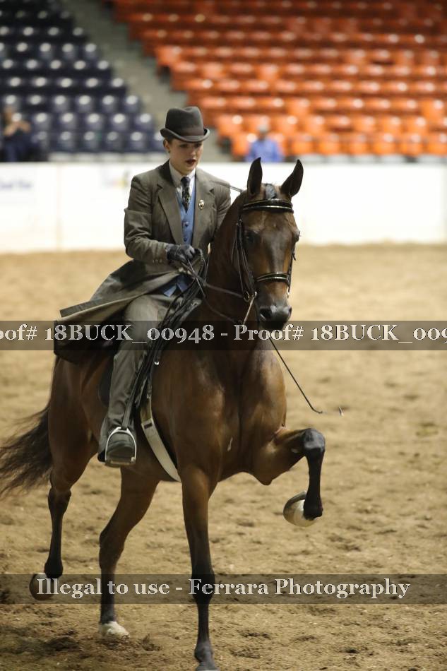 Proof 18BUCK_00948