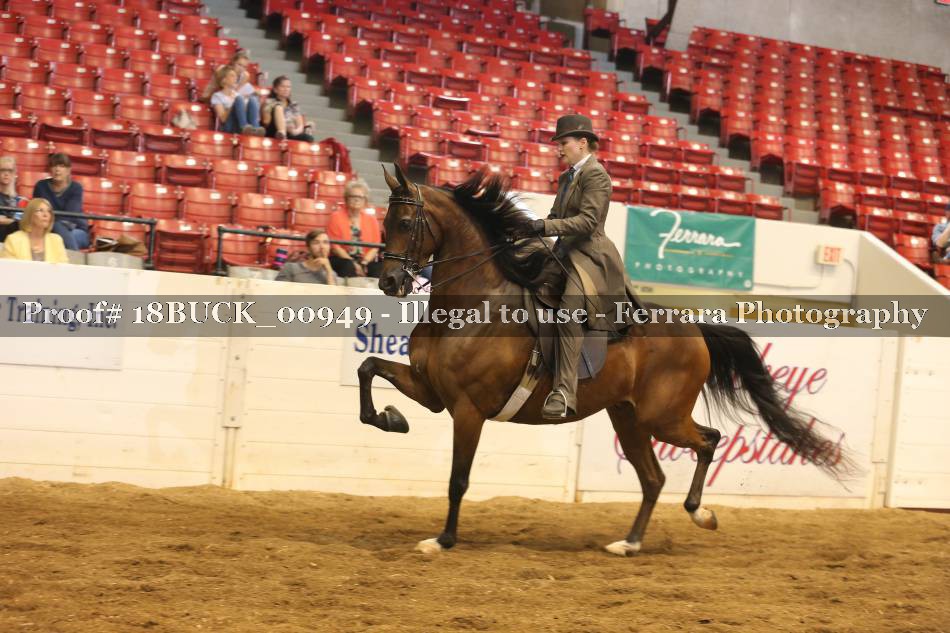 Proof 18BUCK_00949