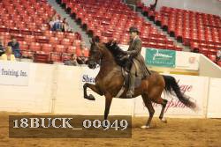 18BUCK_00949 proof