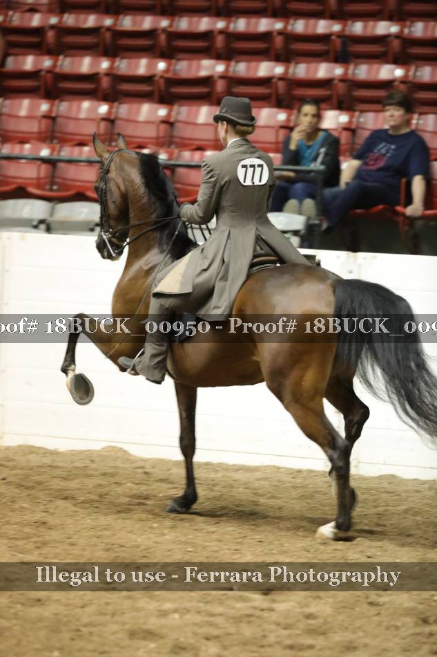 Proof 18BUCK_00950