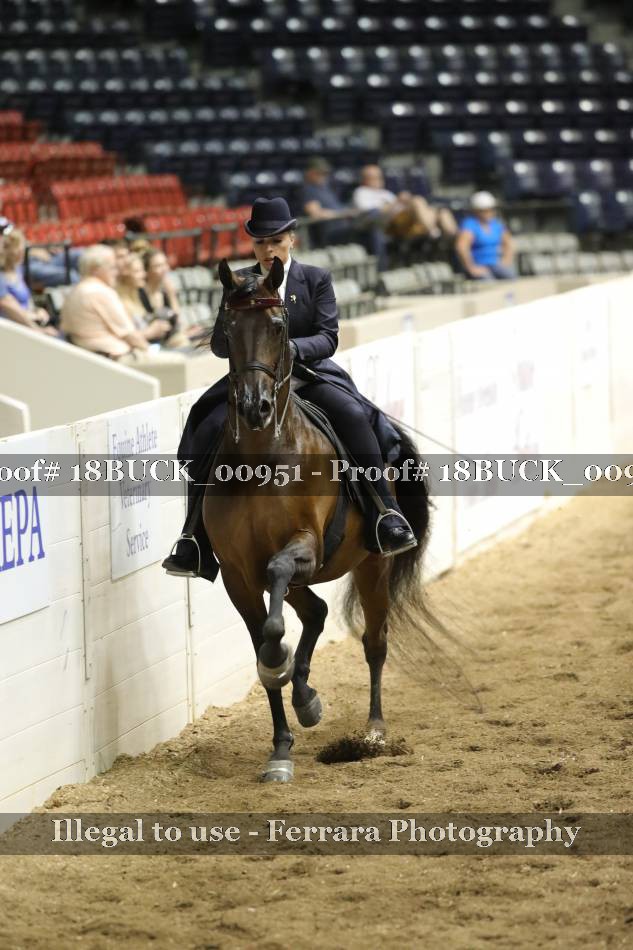 Proof 18BUCK_00951