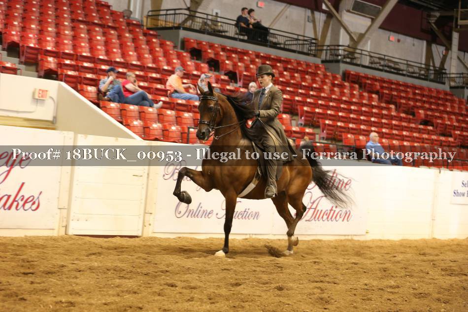 Proof 18BUCK_00953
