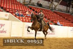 18BUCK_00953 proof