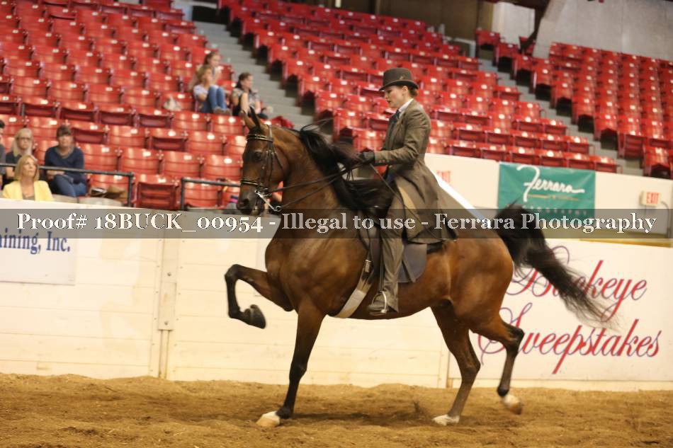 Proof 18BUCK_00954
