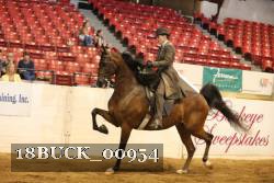 18BUCK_00954 proof