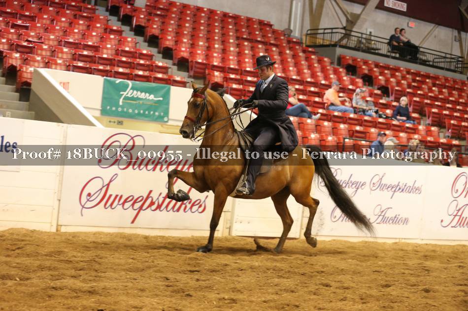 Proof 18BUCK_00955