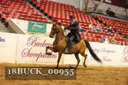 18BUCK_00955 proof