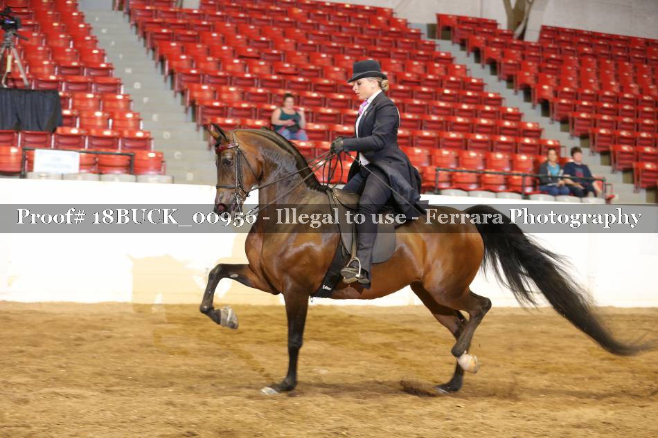 Proof 18BUCK_00956