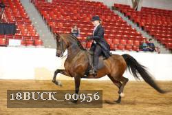 18BUCK_00956 proof