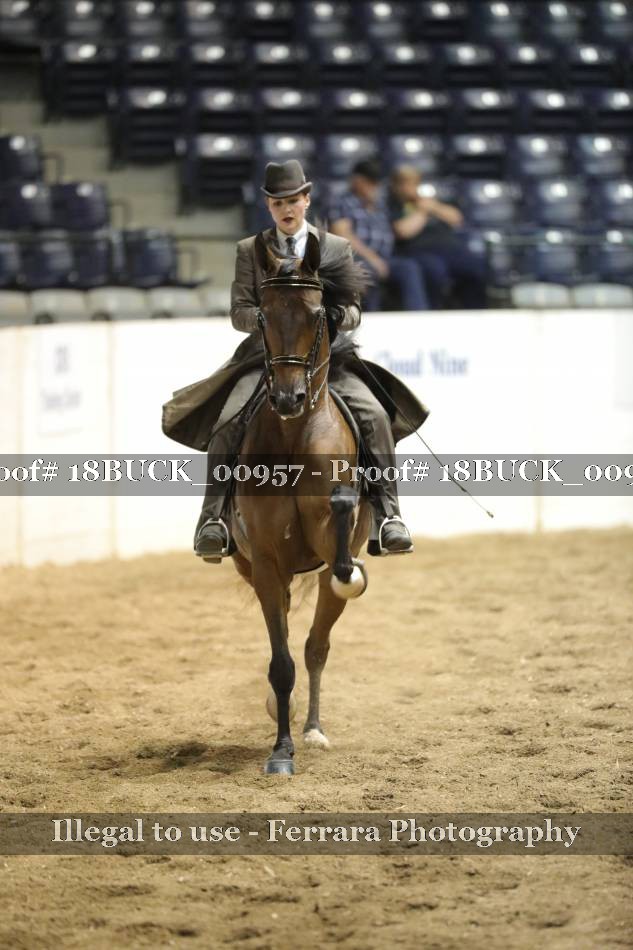 Proof 18BUCK_00957