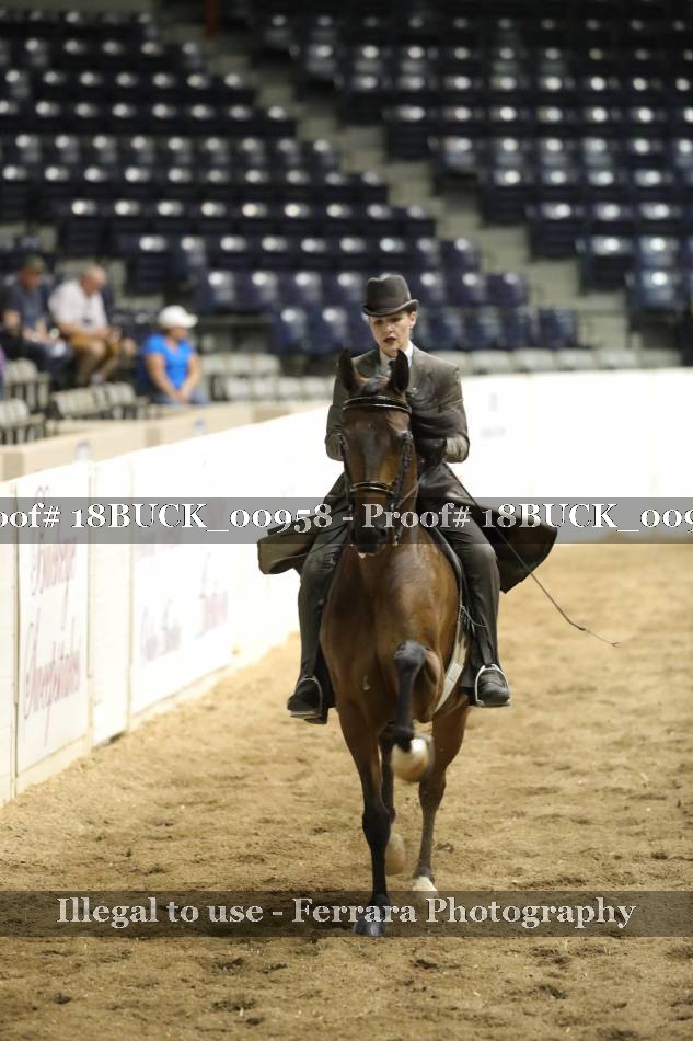 Proof 18BUCK_00958