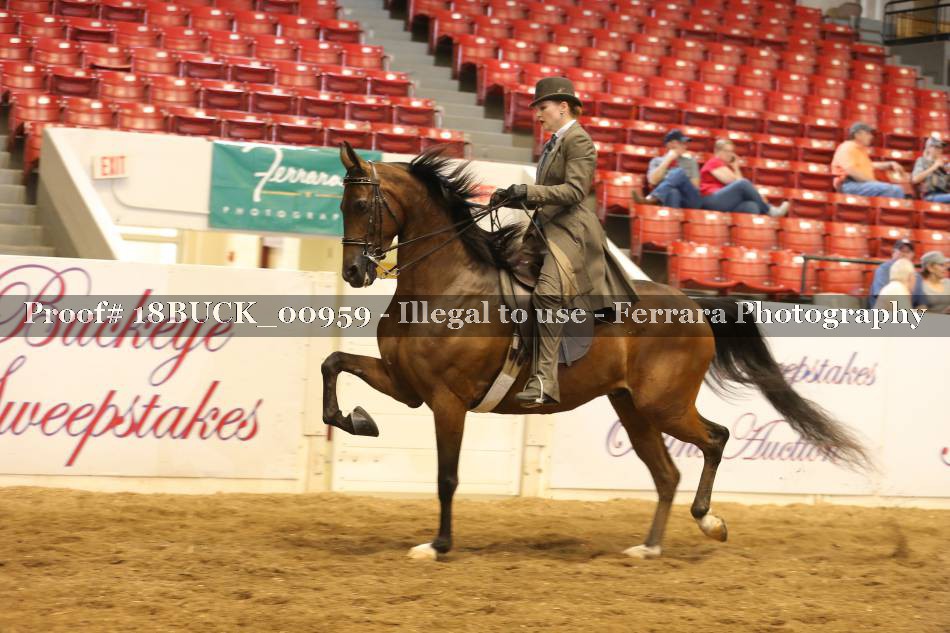 Proof 18BUCK_00959