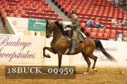 18BUCK_00959 proof