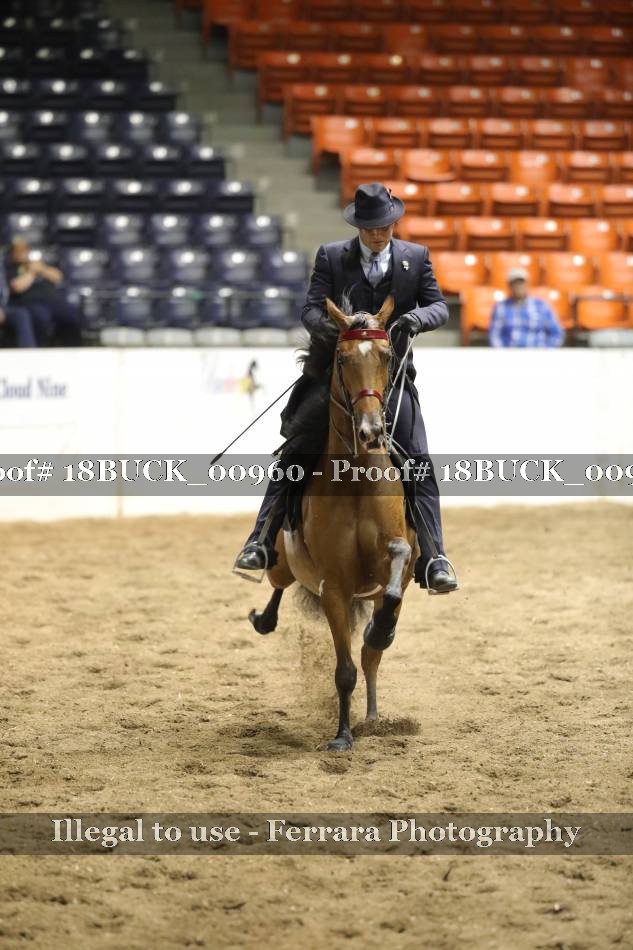 Proof 18BUCK_00960