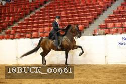 18BUCK_00961 proof
