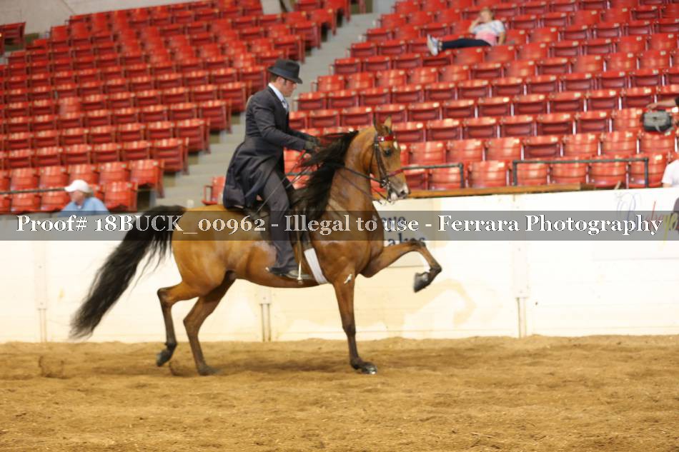Proof 18BUCK_00962