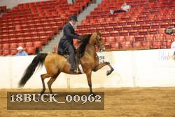 18BUCK_00962 proof