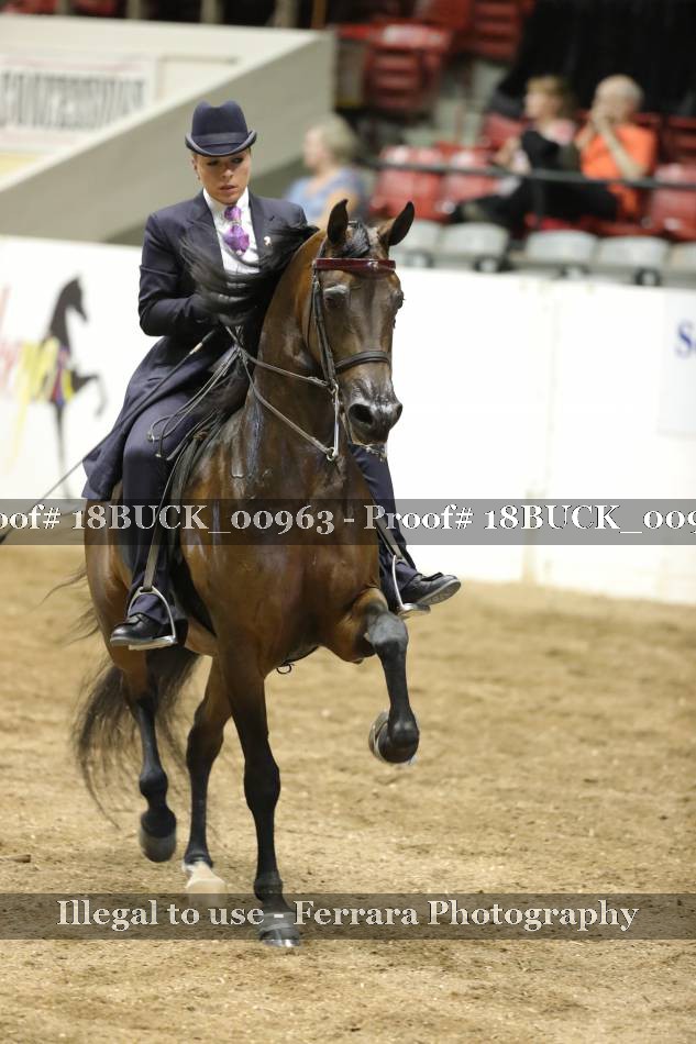 Proof 18BUCK_00963
