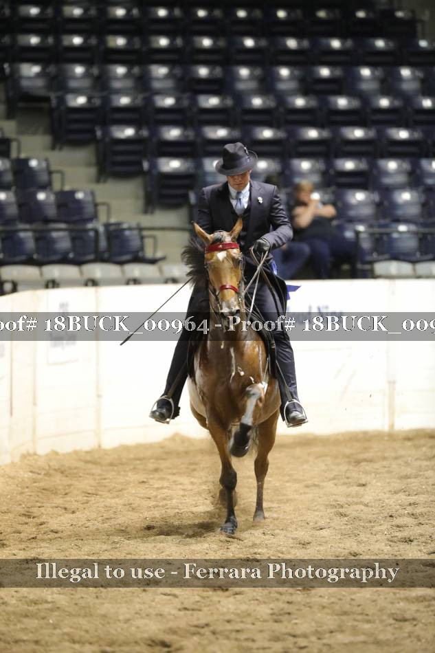 Proof 18BUCK_00964